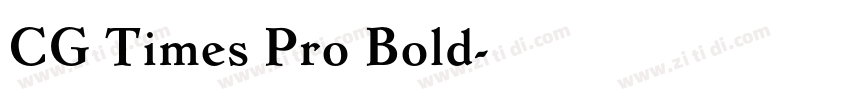 CG Times Pro Bold字体转换